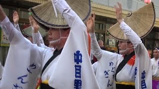 「目黒銀座連」② 阿波おどり 第50回中目黒夏まつり（2015.8.1）