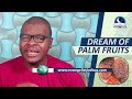 dream of palm fruits palm kernel and palm tree meaning