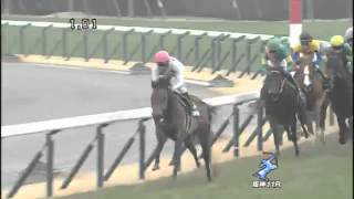 アーリントンカップ 2014 ミッキーアイル優勝