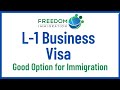 Top 7 Questions on the L-1 Business Visa Answered by an Immigration Lawyer