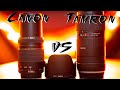 Canon 75-300 vs Tamron 70-210