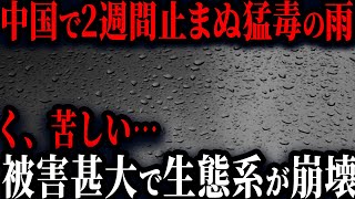 中国大号泣ww雨乞い政策が成功するも猛毒の雨が降り止まず生態系崩壊www【ゆっくり解説】