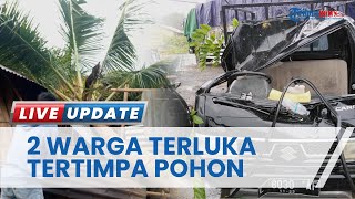 Pohon Tumbang Timpa Mobil & Rumah Warga di Manggarai, 2 Orang Terluka, Kerugian Capai Rp 50 Juta