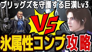 【FFBE】ブリッグズを守護する巨漢Lv3《バッカニア》氷属性カテゴリコンプ攻略♯５７４【無課金】