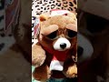 🐻🐶🥱 FEISTY PETS 🐻 1 STUFFED ATTITUDE ! NICE / NAUGHTY BEAR 🐻 #shorts #trending #viral