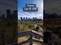 calgary in autumn colours