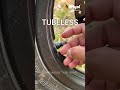 trick top identify tube u0026 tubeless tyres how to check tube tyre u0026 tubeless tyres shorts