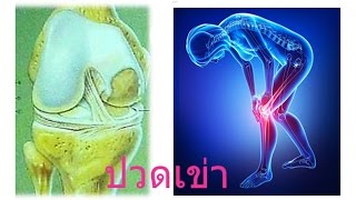 #ข้อเข่าเสื่อม,กระดูกทับเส้น ,ปวดเข่า โทร. 089-0733-287