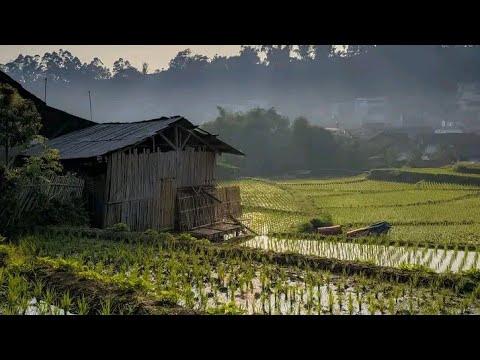 SULING SUNDA PALING MERDU 😍 BIKIN ADEM SEJUK - YouTube