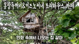 몽상두꺼비\u0026미즈노씨네 트리하우스 카페/트리하우스/나무집