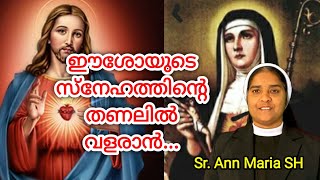 ഈശോയുടെ  സ്നേഹത്തിന്റെ തണലിൽ വളരാൻ... Sr. Ann Maria SH