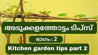 അടുക്കളത്തോട്ടം  | Kitchen garden tips part 2