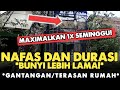 CARA AGAR CEPAT CENDET NAMBAH DURASI BUNYI/GACOR SETIAP HARI‼️