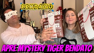 Apriamo 2 MYSTERY BOX di TIGER Luca bendato e deluso