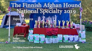 The Finnish Afghan Hound National Specialty 2019