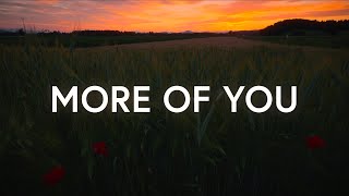 More Of You - VOUS Worship (Lyrics)