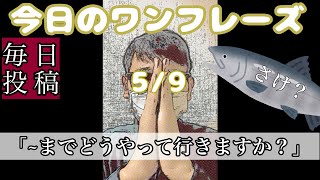 【2分で分かる】使えるネパール語「バクタプルまでどうやって行きますか？」【5月毎日投稿】