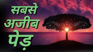 🔥इन दुर्लभ पेड़ के आगे Scientist भी हैरान है | Rarest and Weirdest Trees in the World