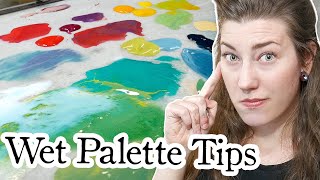 Ultimate Wet Palette Tutorial: Beginner Tips & Tricks To Keep Your Paint Working