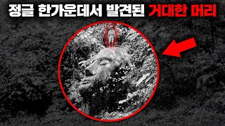 과테말라의 정글 속에서 발견된 거인의 머리와 초고대문명의 흔적 [미스터리]