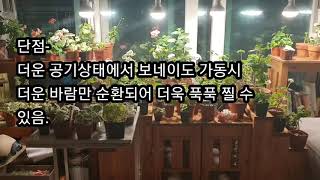 습하고, 더운 여름 장마 제라늄 관리하며 키우기 part.2 식물 통풍에 신경쓰기 How to grow plants at home