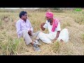 వరి కోత పంచాది palle ramulu comedy village comedy vari panchadhi comedy funny trending