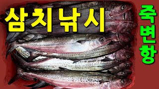 9월 죽변항에서 삼치 타작!(오후 2시부터 4시반까지)