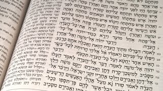 How Breslovers Learn Torah