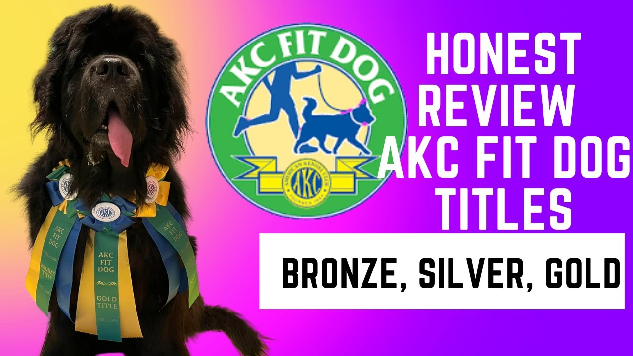 AKC FIT DOG TITLES! Bronze, Silver, Gold - My Honest Review - YouTube