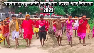 মালদা বুলবুলচন্ডী ডুবাপারা চড়ক গাছ উঠানো 2022 Bulbulchandi dubapara chrok puja