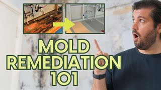 Mold Remediation 101: 3 CRUCIAL STEPS for a Successful Mold Remediation