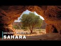 Unseen Sahara | Ghosts of the Dunes A Desert Beyond Time | Travel Video 4K