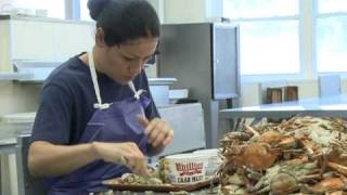 US guest worker program, a model for reform?