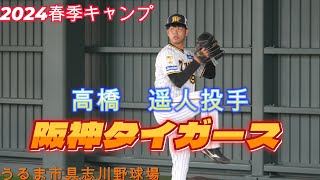 【Tigers】高橋遥人投手　ブルペンピッチング　阪神タイガース　2024春季キャンプ