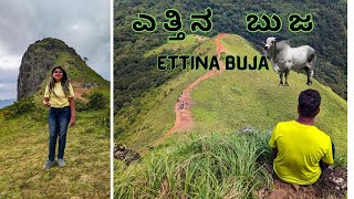 ಎತ್ತಿನ ಬುಜ ಚಾರಣ || Ettina Buja Trekking #chikmagalur || Trekking on Ox's shoulder | Chikmagaluru Ep1