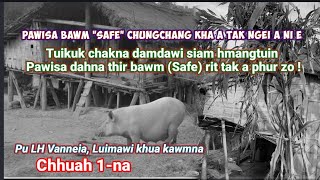 Thlawhna tlain Pawisa dahna thir bawm (Safe) a tlakpui lak tum thu ||Pu LH Vanneia Luimawi kawmna -1