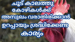 #കോഴി#paultry ചൂട് സമയത്തു കോഴികൾക്ക് അസുഖം വരാതിരിക്കാൻ എന്ത് ചെയ്യണം