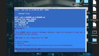 Git : viewing the git commit history