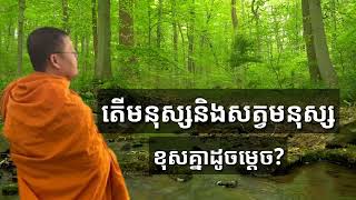 តើមនុស្សនិងសត្វមនុស្សខុសគ្នាដូចម្ដេច |#sansocheaofficial #សានសុជា