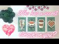 WHO HAS A SECRET CRUSH ON YOU 💖💕 PICK A CARD Tarot reading