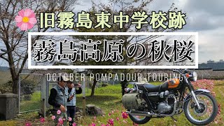 Team POMPADOUR【10月 秋桜お花見ツーリング】旧霧島東中学校跡の穴場的コスモス園に行ってみた！