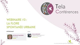 Tela Conférences - Webinaire #3 - La flore spontanée urbaine