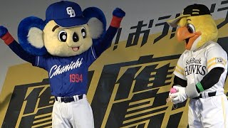 けん玉対決でドアラに完敗して唖然とするハリー（笑） (2023/05/30)