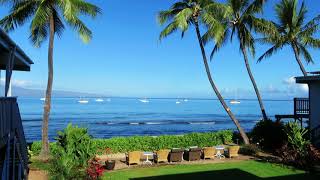 Lahaina Ocean's Edge - Maui Beachfront View