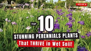 Top 10 Stunning Perennials That THRIVE in Wet Soil! 🌱💦🌸 // Gardening Ideas