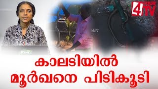 കാലടി ഒക്കലിൽ  വെളുത്ത മൂർഖൻ പാമ്പിനെ പിടികൂടി ....