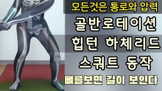 [뼉다구레슨] 힙턴 잘하는법 스쿼트는 모양만들면 도루묵됩니다