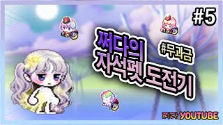 [메이플] 쩌다의 자석펫 도전기  5일차 영상