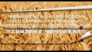 Transforming rural livelihoods in Hebei's barren land