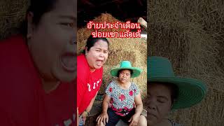 #คลายเครียด#555#ตลกฮาๆ#ลิปซิ้งค์#อ้ายประจำเดือนข่อยเซาแล้วเด้#funn#comedy#pov#food#ยำๆพาเที่ยวพากิน